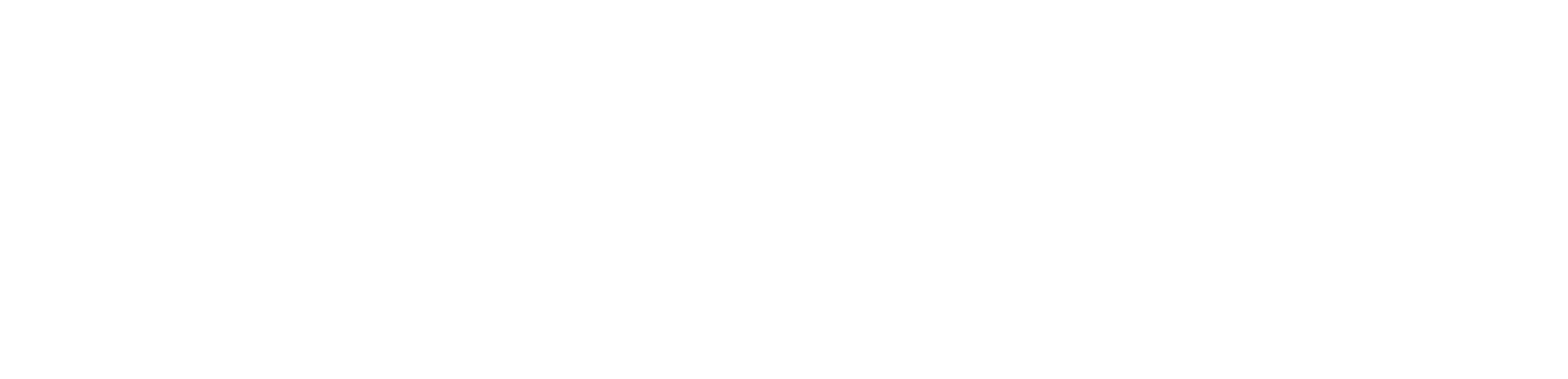 Nuztek Logo